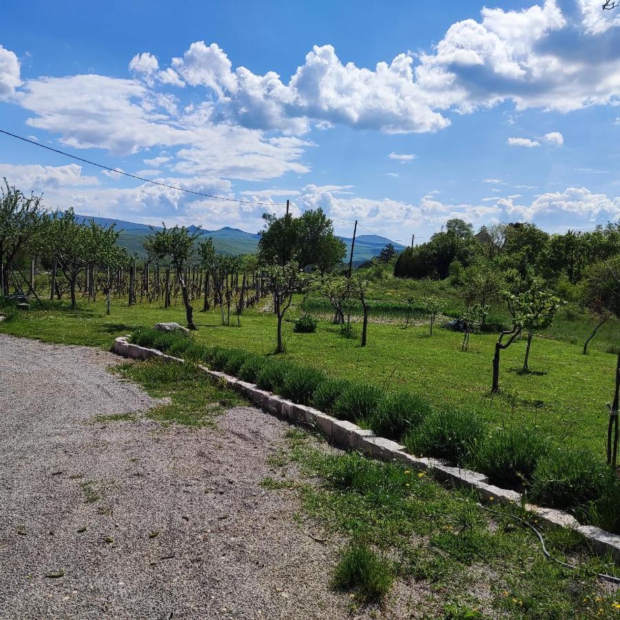 Casa Di Oliva-House With Heated Pool & Jacuzzi In Trilj, Croatia别墅 外观 照片